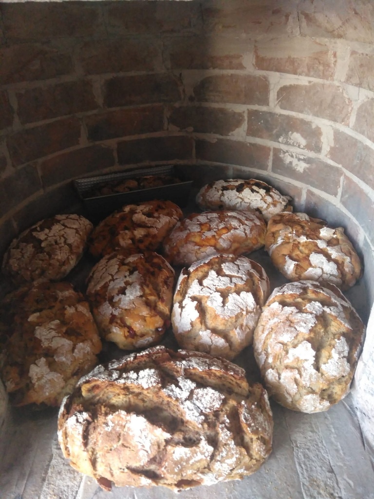 Broa com Alheira