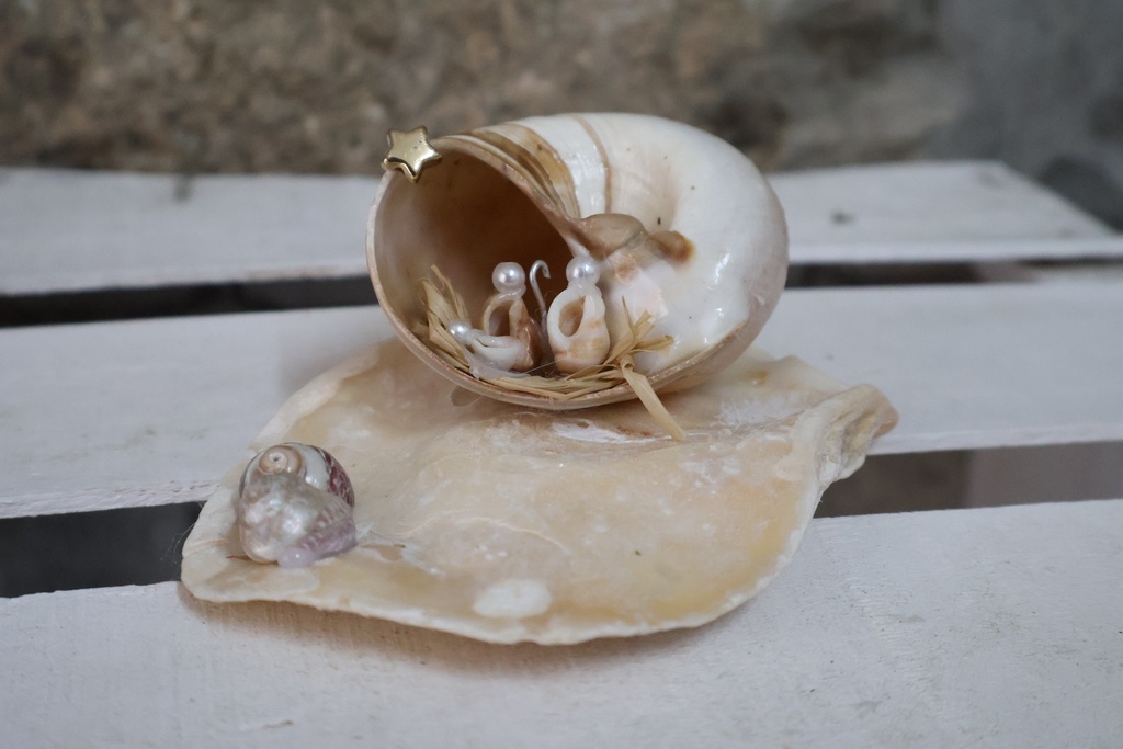 Presépio Miniatura em Conchas Naturais
