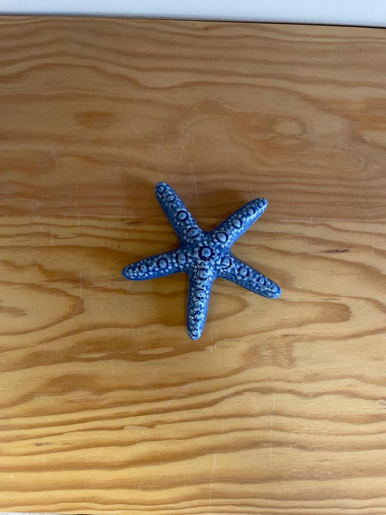 Figura Decorativa em Cerâmica - Estrela-do-Mar Azul