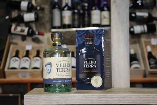 Velho Terra